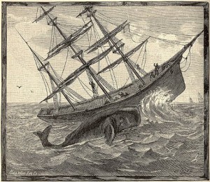 Nineteenth  century illustration of the angry whale and the Essex