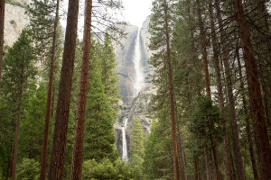 Yosemite National Park Upper and Lower Falls viewed from forest