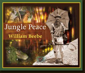 Jungle Peace By William Beebe