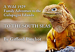 To the South Seas by Gifford Pinchot